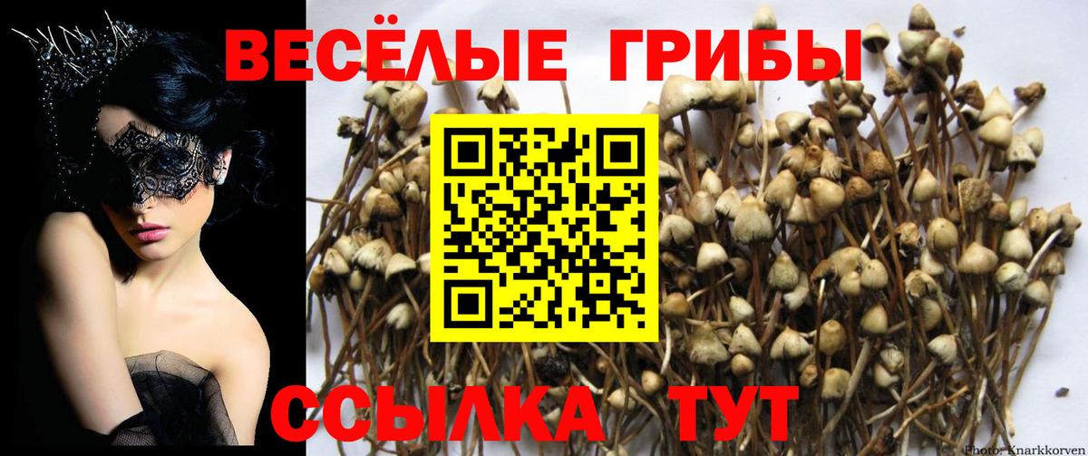 Галлюциногенные грибы Magic Shrooms  Вход с VPN  Артёмовский 